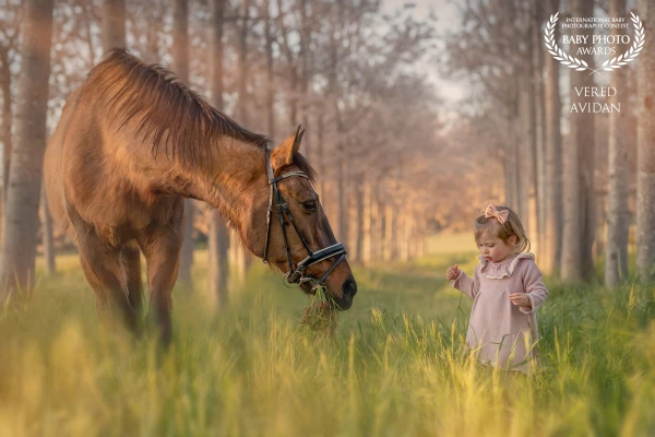 Little Yaara . She is only two years old, and already has a special connection with her horse.  He is so big next to her,  but she feels so confident next to him. One moment full of love Yaara and Mosh.